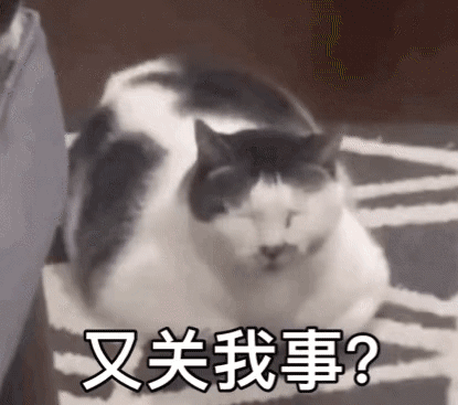 又关我事 猫猫表情包（又关我事 猫猫表情包）