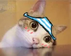 后面就上班了，不开心。。。（后面就上班了，不开心。。。）