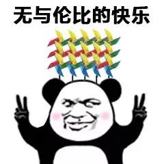 无以伦比的快乐