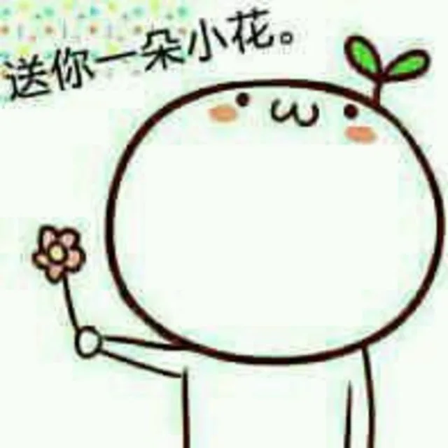 送你一朵小花