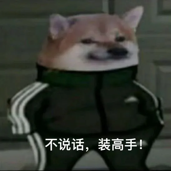 不说话，装高手！（不说话，装高手！）