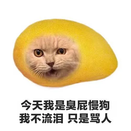 今天我是臭屁慢狗我不流泪只是骂人（今天我是臭屁慢狗我不流泪只是骂人）