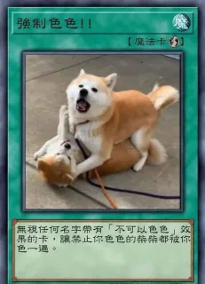 強制色色!!魔魔法卡無視任何名字帶有「不可以色色」效果的卡,讓禁止你色色的柴柴都被你色一遍。