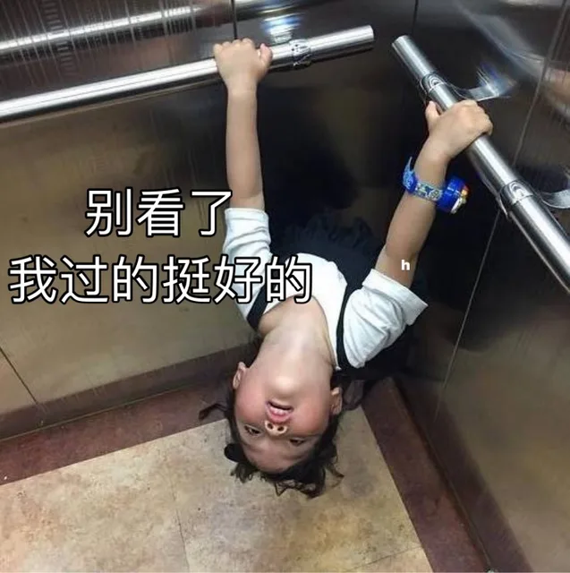 别看了我过的挺好的（别看了我过的挺好的）
