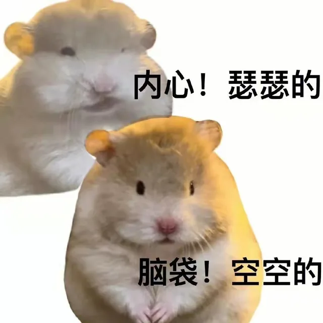 内心！瑟瑟的脑袋！空空的（内心！瑟瑟的脑袋！空空的）