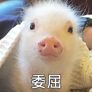 委屈