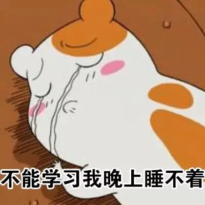 不能学习我晚上睡不着