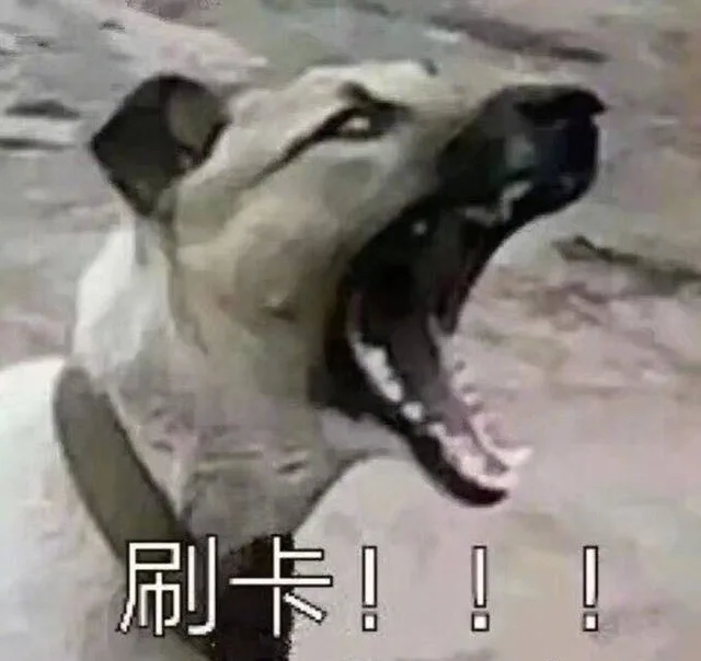 （你跟食堂大妈的日常_狗子_内涵）