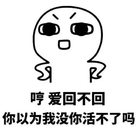 哼爱回不回你以为我没你活不了吗（哼爱回不回你以为我没你活不了吗）