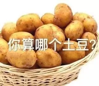 你算哪个土豆？（你算哪个土豆？）