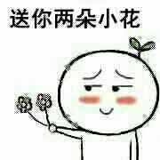 送你两朵小花（送你两朵小花）