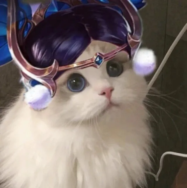 王者荣耀猫头头像8