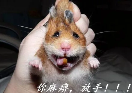 你麻痹，放手！！！！