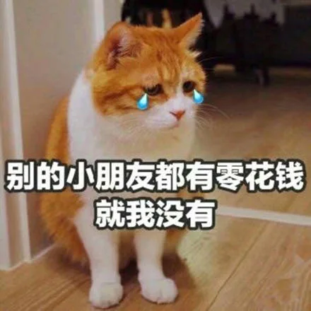 别的小朋友都有零花钱，就我没有（别的小朋友都有零花钱，就我没有）