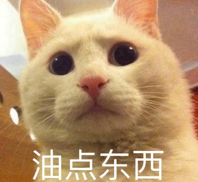 油点东西（油点东西）