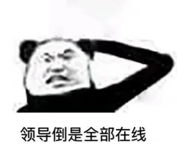 领导倒是全部在线（领导倒是全部在线）