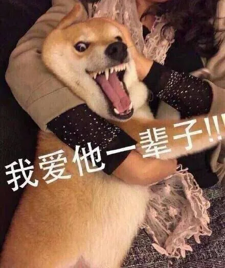 我爱他一辈子！！！