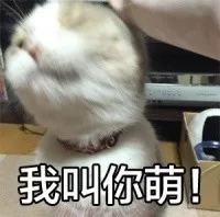 我叫你萌！（我叫你萌！）