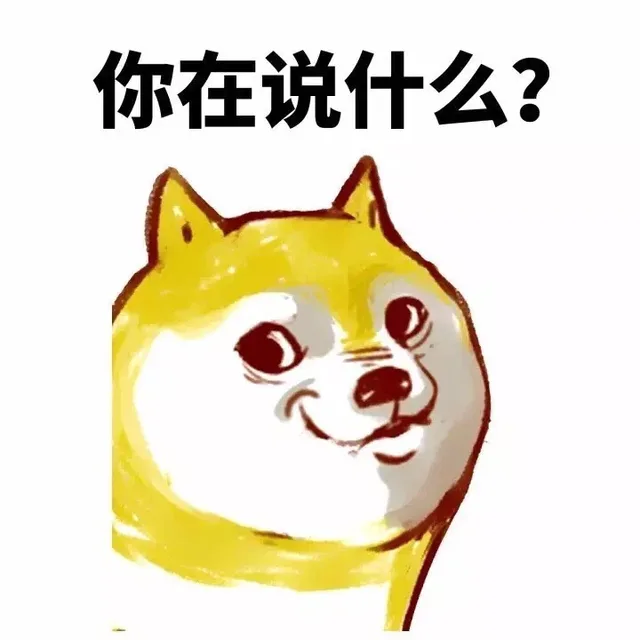 你在说什么？