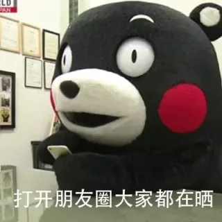 我朋友圈的日常。。。 _熊本熊_装逼_内涵表情包