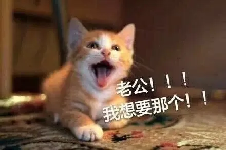 老公！！！我想要那个！！！（老公！！！我想要那个！！！）