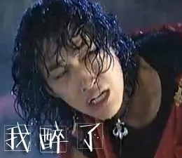 我醉了（我醉了）