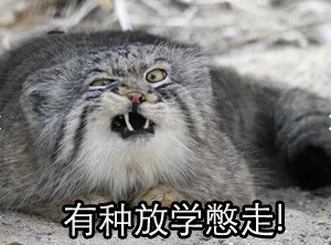 有种放学憋走！