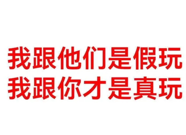 我跟他们是假玩我跟你才是真玩（我跟他们是假玩我跟你才是真玩）