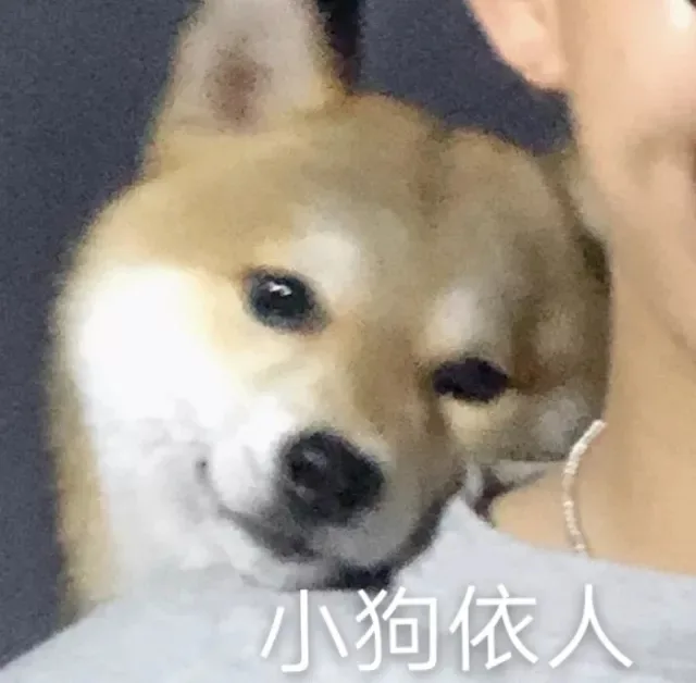 小狗依人（小狗依人）
