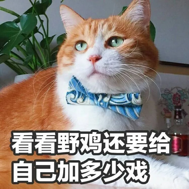 看看野鸡还要给自己加多少戏