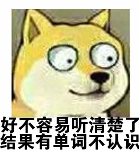 好不容易听清楚了，结果有单词不认识
