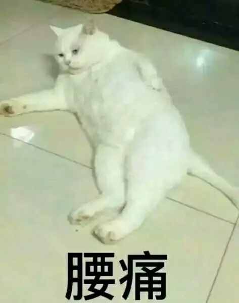 腰痛