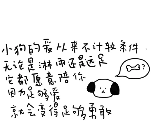 小狗的最从来不计较条件无论是淋印还是远足3它都原意陪你因为足够爱京会变得足够勇敢