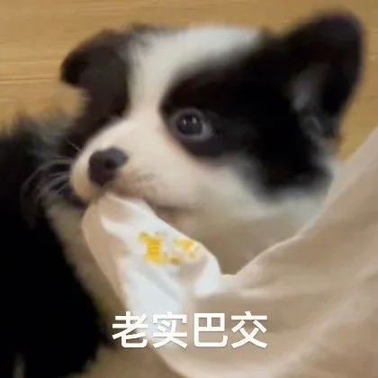 老实巴交（老实巴交）