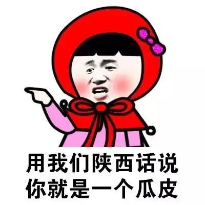 用我们陕西话说你就是一个瓜皮