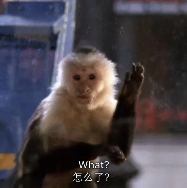 What?怎么了？(吗喽表情包 猴子表情包)（What?怎么了？(吗喽表情包 猴子表情包)）