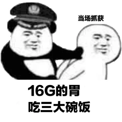 「当场抓获」系列表情包_熊猫头_斗图_群聊