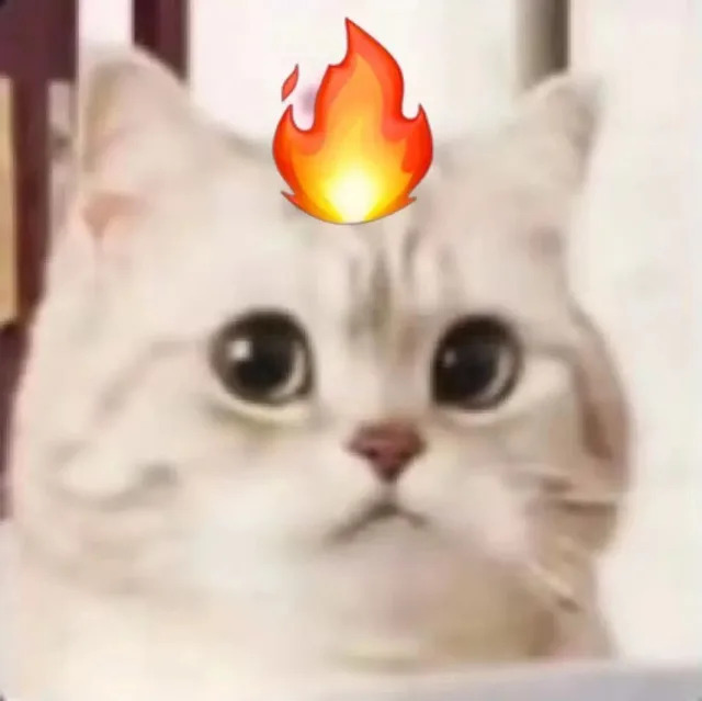 微笑小猫表情包 生气了