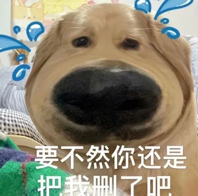 要不然你还是把我删了吧（要不然你还是把我删了吧）