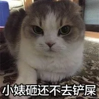 小婊砸还不去铲屎（小婊砸还不去铲屎）
