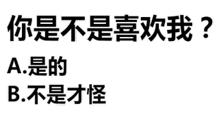 你是不是喜欢我?A是的B不是才怪