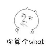 你算个what