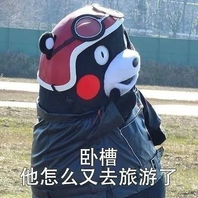 卧槽，他怎么又去旅游了（卧槽，他怎么又去旅游了）