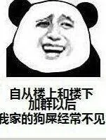 自从楼上和楼下加群以后，我家的狗屎经常不见了（自从楼上和楼下加群以后，我家的狗屎经常不见了）