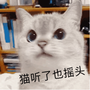 猫听了也摇头（猫听了也摇头）
