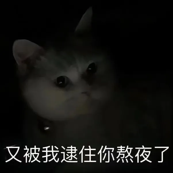 又被我逮住你熬夜了（又被我逮住你熬夜了）