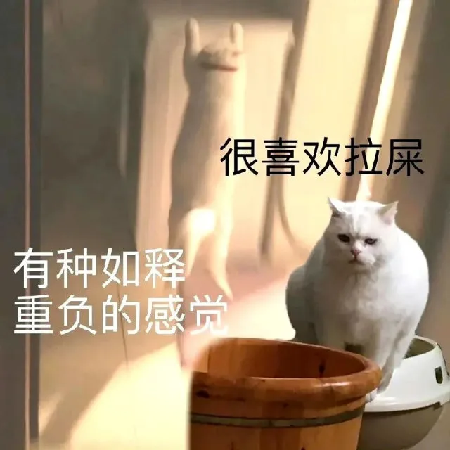 很喜欢拉屎有种如释重负的感觉（很喜欢拉屎有种如释重负的感觉）
