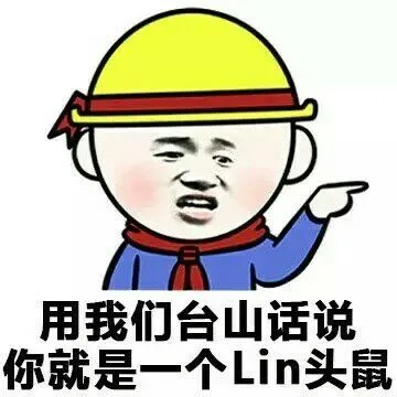 用我们台山话说，你就是一个Lin头鼠