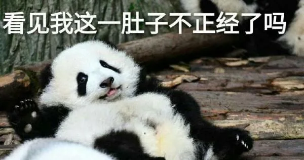 看见我这一肚子不正经了吗（看见我这一肚子不正经了吗）