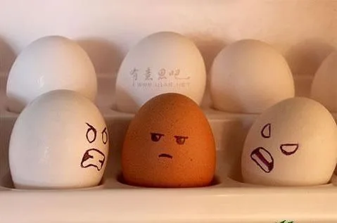 就你小两还想欺负我